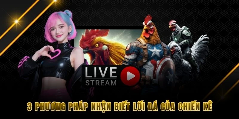 3 phương pháp nhận biết lối đá của chiến kê